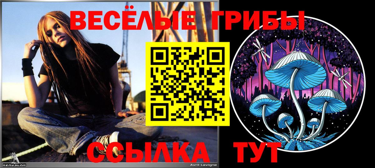 Верхний Уфалей  Галлюциногенные грибы мухоморы  Вход с VPN  Псилоцибиновые грибы мухоморы 